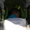 kirnduls gyrben 2012.05.27. 033